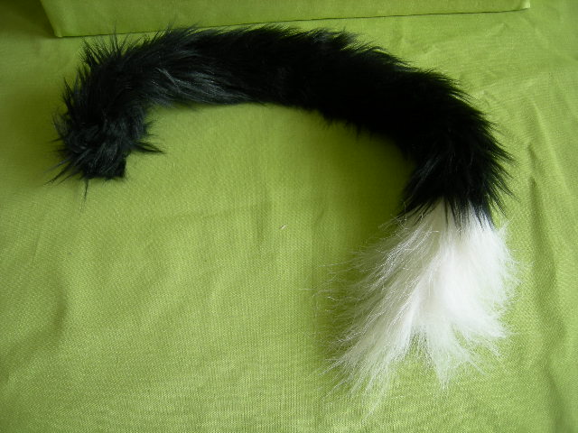Svart kattsvans